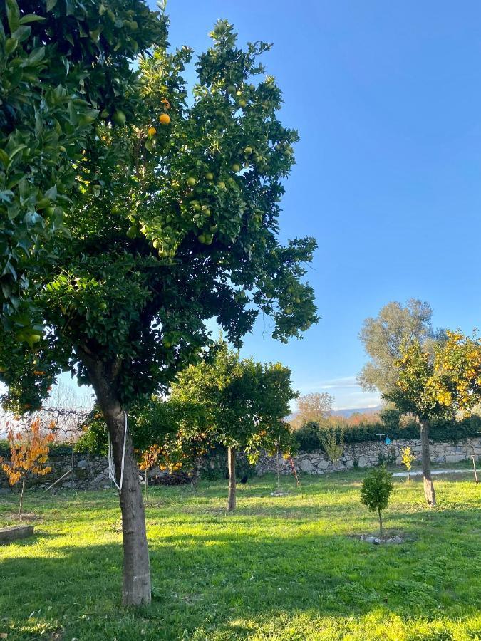 Quinta De Areias Bed and Breakfast Crespos Buitenkant foto